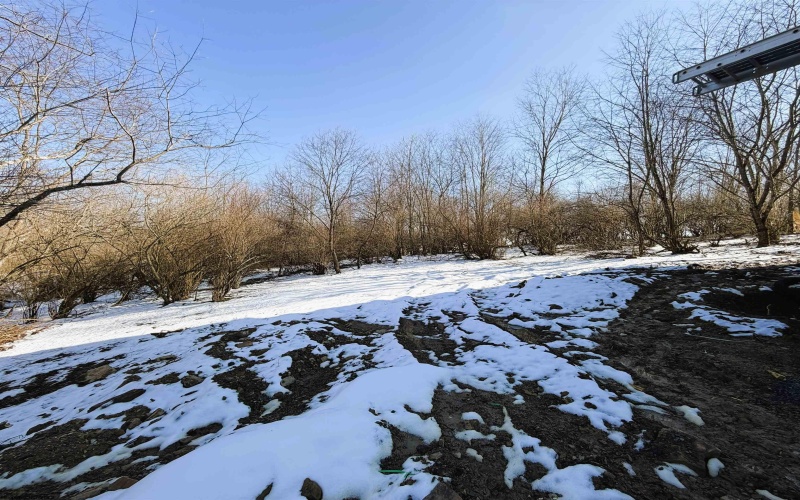 0 Meadow Ridge Drive, Bruceton Mills, West Virginia 26525, 3 Bedrooms Bedrooms, 7 Rooms Rooms,2 BathroomsBathrooms,Single Family Detached,For Sale,Meadow Ridge,10163535