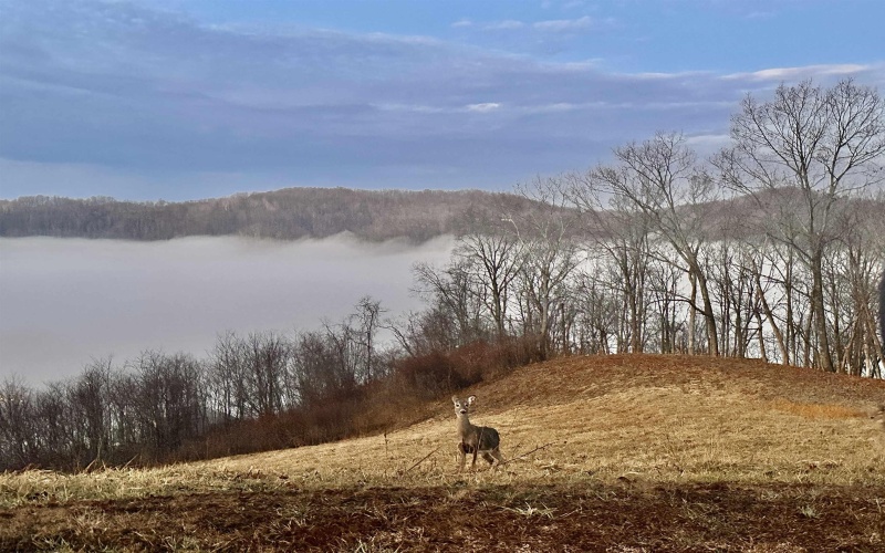 TBD Lakeview Heights, Horner, West Virginia 26372, ,Lots/land,For Sale,Lakeview,10163546 TBD Lakeview Heights, Horner, West Virginia 26372, ,Lots/land,For Sale,Lakeview,10163546