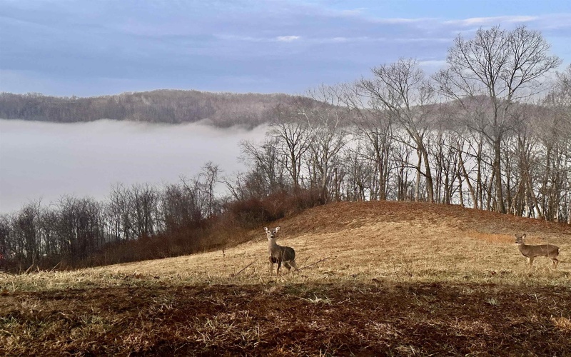 TBD Lakeview Heights, Horner, West Virginia 26372, ,Lots/land,For Sale,Lakeview,10163546 TBD Lakeview Heights, Horner, West Virginia 26372, ,Lots/land,For Sale,Lakeview,10163546