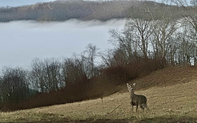 TBD Lakeview Heights, Horner, West Virginia 26372, ,Lots/land,For Sale,Lakeview,10163546 TBD Lakeview Heights, Horner, West Virginia 26372, ,Lots/land,For Sale,Lakeview,10163546