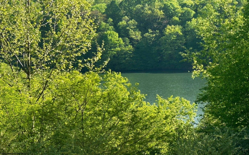 570 Lakeview Drive, Horner, West Virginia 26372, ,Lots/land,For Sale,Lakeview,10163548