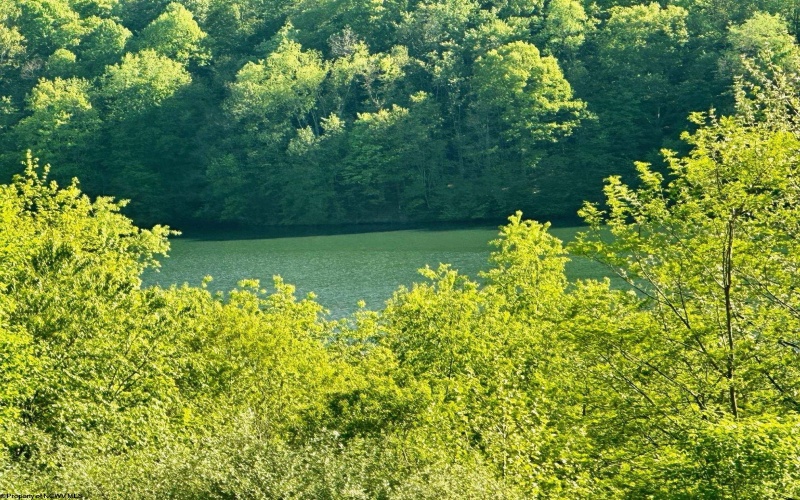 570 Lakeview Drive, Horner, West Virginia 26372, ,Lots/land,For Sale,Lakeview,10163548