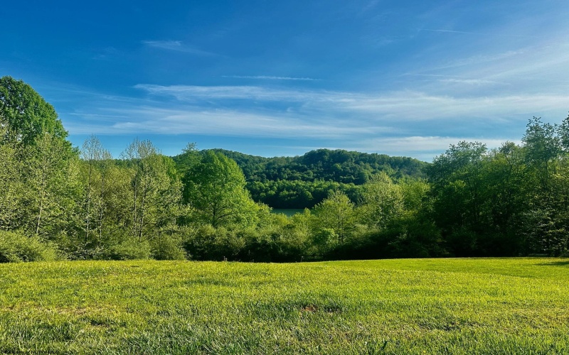 570 Lakeview Drive, Horner, West Virginia 26372, ,Lots/land,For Sale,Lakeview,10163548