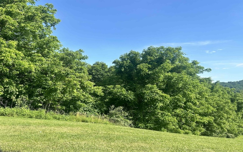 570 Lakeview Drive, Horner, West Virginia 26372, ,Lots/land,For Sale,Lakeview,10163548