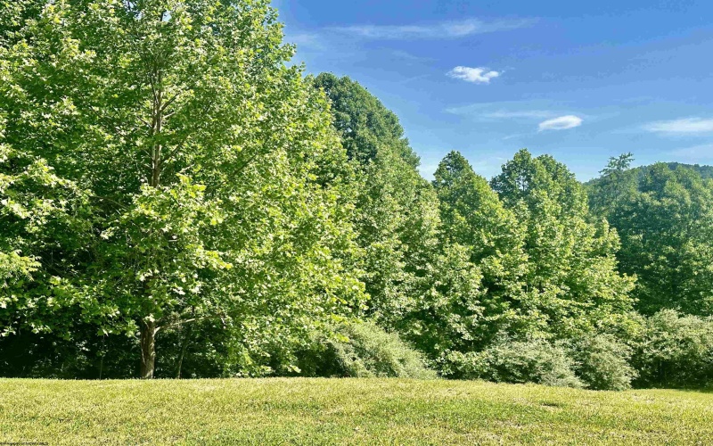 570 Lakeview Drive, Horner, West Virginia 26372, ,Lots/land,For Sale,Lakeview,10163548