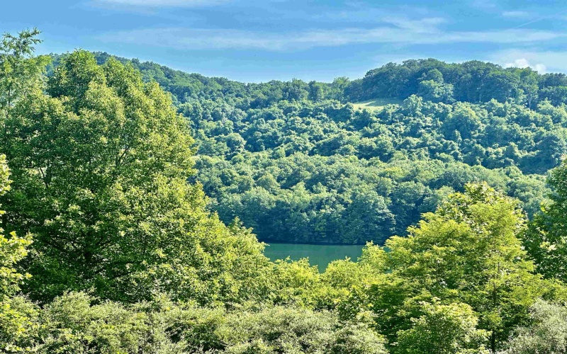 570 Lakeview Drive, Horner, West Virginia 26372, ,Lots/land,For Sale,Lakeview,10163548