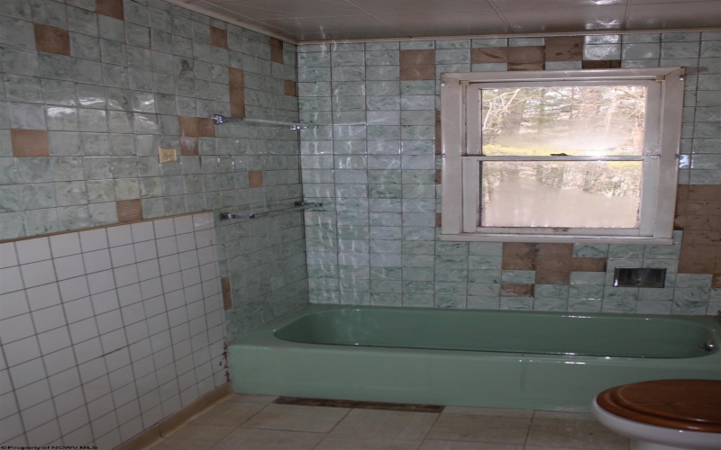 108 Lost Lane, Camden on Gauley, West Virginia 26208, 4 Bedrooms Bedrooms, 9 Rooms Rooms,1 BathroomBathrooms,Single Family Detached,For Sale,Lost,10162598