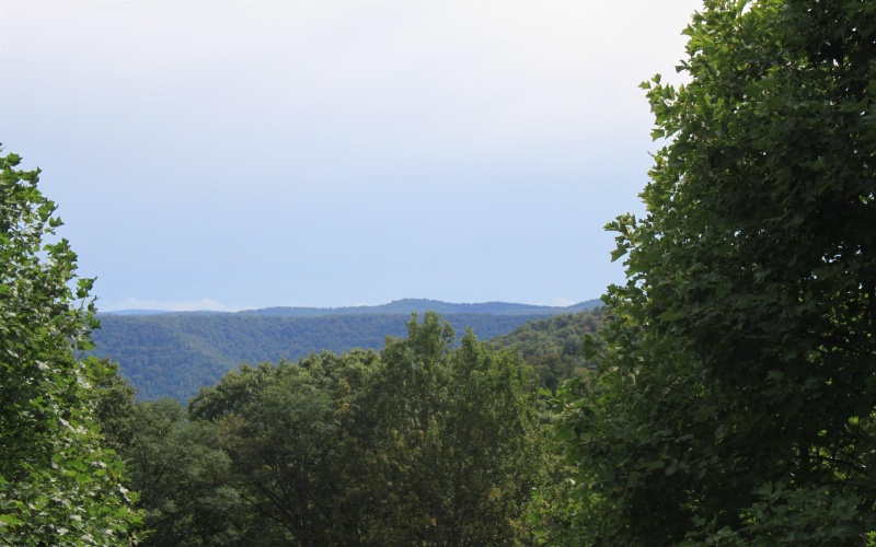 6776 Point Mountain Road, Webster Springs, West Virginia 26288, 3 Bedrooms Bedrooms, 10 Rooms Rooms,1 BathroomBathrooms,Single Family Detached,For Sale,Point Mountain,10161482