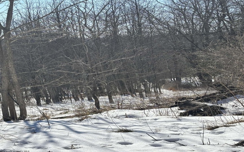 TBD Jonestown Mt Liberty Road, Philippi, West Virginia 26416, ,Lots/land,For Sale,Jonestown Mt Liberty,10163569