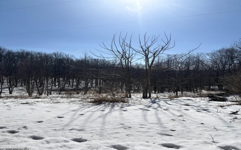 TBD Jonestown Mt Liberty Road, Philippi, West Virginia 26416, ,Lots/land,For Sale,Jonestown Mt Liberty,10163569