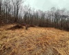 TBD Jonestown Mt Liberty Road, Philippi, West Virginia 26416, ,Lots/land,For Sale,Jonestown Mt Liberty,10163569