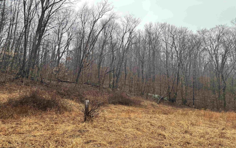 TBD Jonestown Mt Liberty Road, Philippi, West Virginia 26416, ,Lots/land,For Sale,Jonestown Mt Liberty,10163569