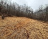 TBD Jonestown Mt Liberty Road, Philippi, West Virginia 26416, ,Lots/land,For Sale,Jonestown Mt Liberty,10163569