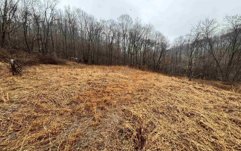 TBD Jonestown Mt Liberty Road, Philippi, West Virginia 26416, ,Lots/land,For Sale,Jonestown Mt Liberty,10163569