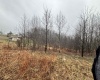 TBD Jonestown Mt Liberty Road, Philippi, West Virginia 26416, ,Lots/land,For Sale,Jonestown Mt Liberty,10163569
