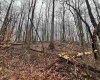 TBD Jonestown Mt Liberty Road, Philippi, West Virginia 26416, ,Lots/land,For Sale,Jonestown Mt Liberty,10163569
