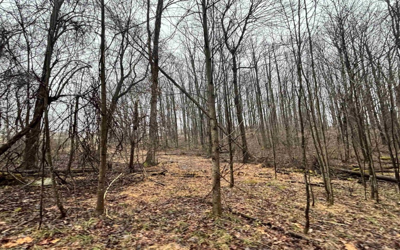 TBD Jonestown Mt Liberty Road, Philippi, West Virginia 26416, ,Lots/land,For Sale,Jonestown Mt Liberty,10163569