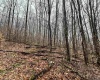 TBD Jonestown Mt Liberty Road, Philippi, West Virginia 26416, ,Lots/land,For Sale,Jonestown Mt Liberty,10163569