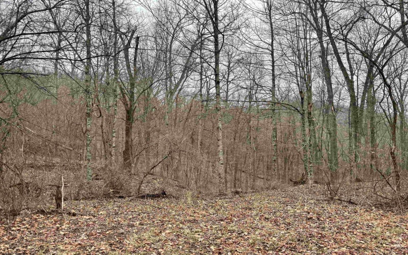 10470 Morgantown Pike, Philippi, West Virginia 26416, ,Lots/land,For Sale,Morgantown,10163573