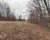 10470 Morgantown Pike, Philippi, West Virginia 26416, ,Lots/land,For Sale,Morgantown,10163573