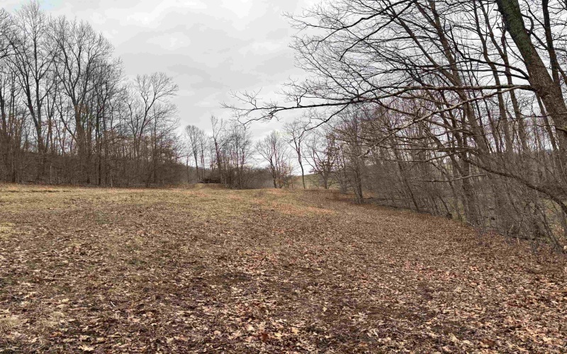 10470 Morgantown Pike, Philippi, West Virginia 26416, ,Lots/land,For Sale,Morgantown,10163573