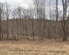 10470 Morgantown Pike, Philippi, West Virginia 26416, ,Lots/land,For Sale,Morgantown,10163573