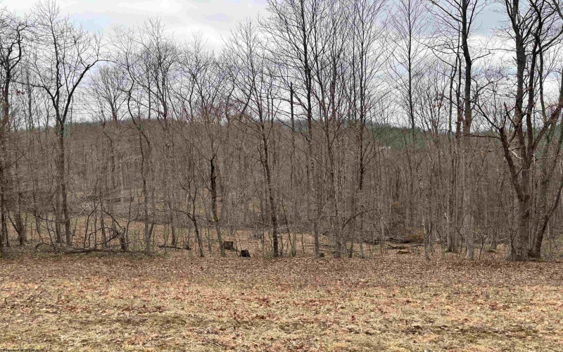 10470 Morgantown Pike, Philippi, West Virginia 26416, ,Lots/land,For Sale,Morgantown,10163573