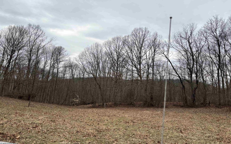 10470 Morgantown Pike, Philippi, West Virginia 26416, ,Lots/land,For Sale,Morgantown,10163573