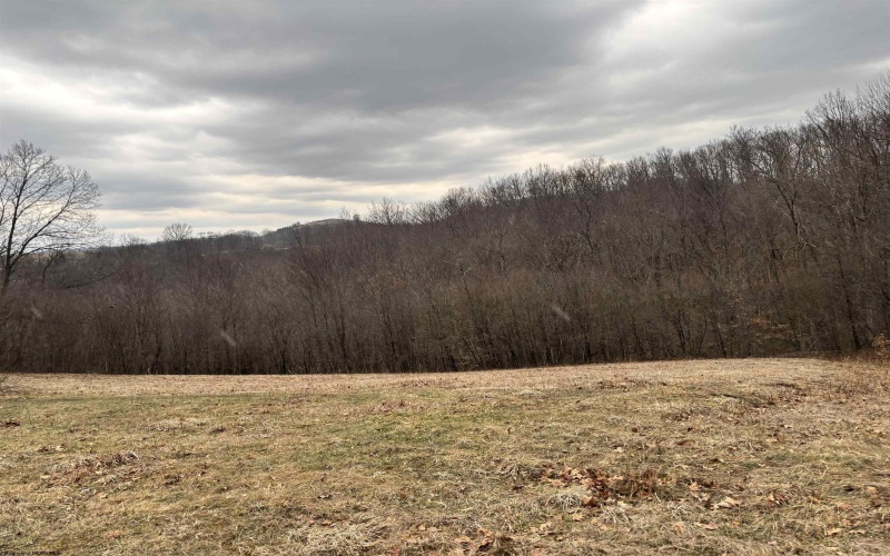 10470 Morgantown Pike, Philippi, West Virginia 26416, ,Lots/land,For Sale,Morgantown,10163573