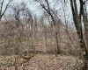10470 Morgantown Pike, Philippi, West Virginia 26416, ,Lots/land,For Sale,Morgantown,10163573