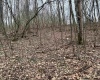 10470 Morgantown Pike, Philippi, West Virginia 26416, ,Lots/land,For Sale,Morgantown,10163573