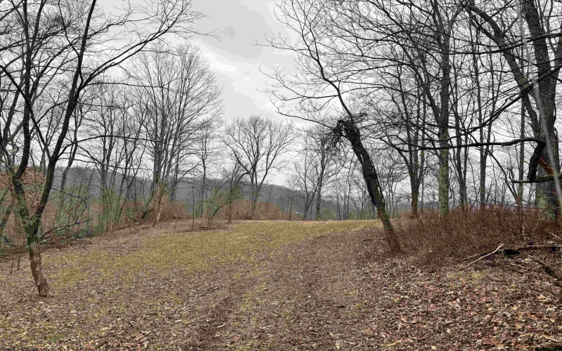 10470 Morgantown Pike, Philippi, West Virginia 26416, ,Lots/land,For Sale,Morgantown,10163573