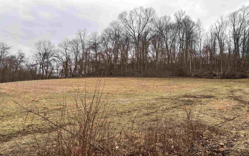 10470 Morgantown Pike, Philippi, West Virginia 26416, ,Lots/land,For Sale,Morgantown,10163573