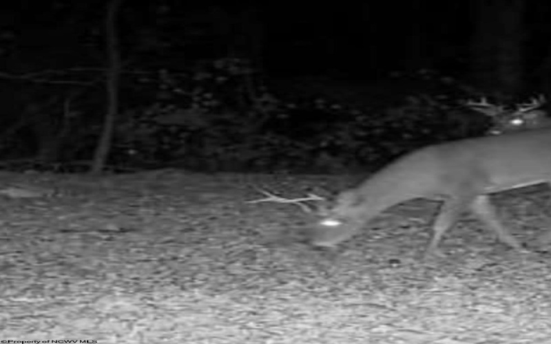 10470 Morgantown Pike, Philippi, West Virginia 26416, ,Lots/land,For Sale,Morgantown,10163573