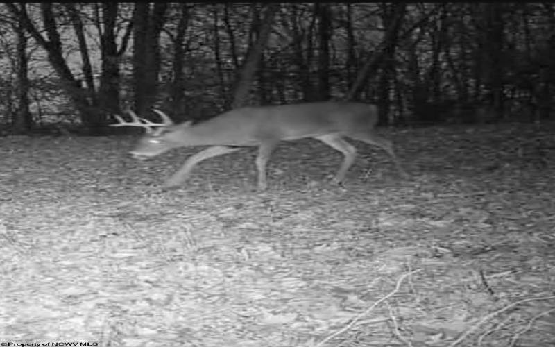 10470 Morgantown Pike, Philippi, West Virginia 26416, ,Lots/land,For Sale,Morgantown,10163573