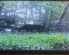 10470 Morgantown Pike, Philippi, West Virginia 26416, ,Lots/land,For Sale,Morgantown,10163573