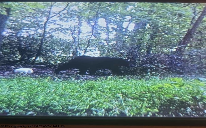 10470 Morgantown Pike, Philippi, West Virginia 26416, ,Lots/land,For Sale,Morgantown,10163573