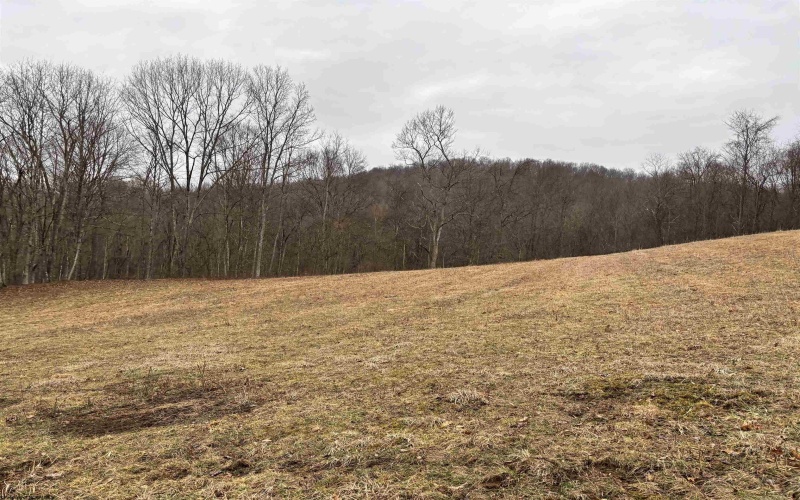 10470 Morgantown Pike, Philippi, West Virginia 26416, ,Lots/land,For Sale,Morgantown,10163573
