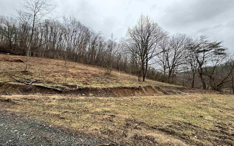 10470 Morgantown Pike, Philippi, West Virginia 26416, ,Lots/land,For Sale,Morgantown,10163573