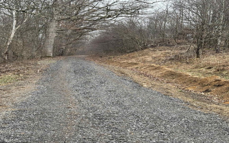 10470 Morgantown Pike, Philippi, West Virginia 26416, ,Lots/land,For Sale,Morgantown,10163573