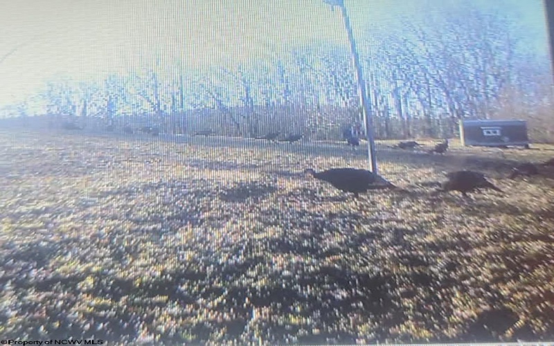 10470 Morgantown Pike, Philippi, West Virginia 26416, ,Lots/land,For Sale,Morgantown,10163573