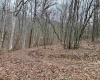 10470 Morgantown Pike, Philippi, West Virginia 26416, ,Lots/land,For Sale,Morgantown,10163573