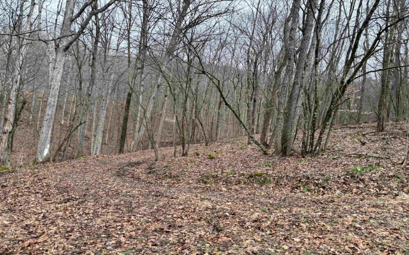 10470 Morgantown Pike, Philippi, West Virginia 26416, ,Lots/land,For Sale,Morgantown,10163573
