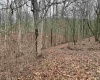 10470 Morgantown Pike, Philippi, West Virginia 26416, ,Lots/land,For Sale,Morgantown,10163573
