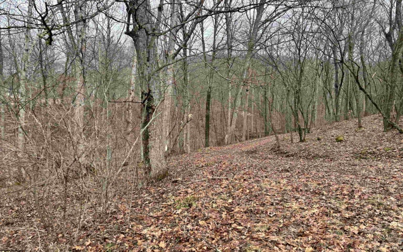 10470 Morgantown Pike, Philippi, West Virginia 26416, ,Lots/land,For Sale,Morgantown,10163573