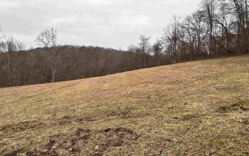 10470 Morgantown Pike, Philippi, West Virginia 26416, ,Lots/land,For Sale,Morgantown,10163573