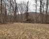 10470 Morgantown Pike, Philippi, West Virginia 26416, ,Lots/land,For Sale,Morgantown,10163573
