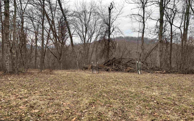 10470 Morgantown Pike, Philippi, West Virginia 26416, ,Lots/land,For Sale,Morgantown,10163573