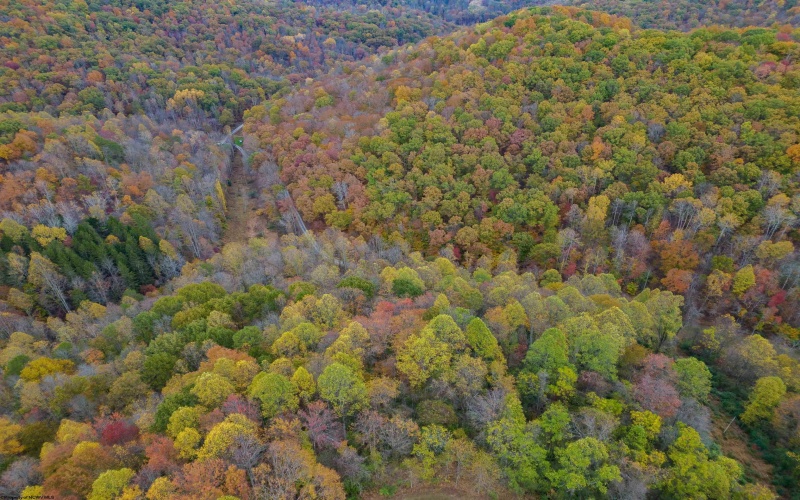 2630 Johnson Fork, Salem, West Virginia 26426, 2 Bedrooms Bedrooms, 5 Rooms Rooms,2 BathroomsBathrooms,Single Family Detached,For Sale,Johnson,10162190