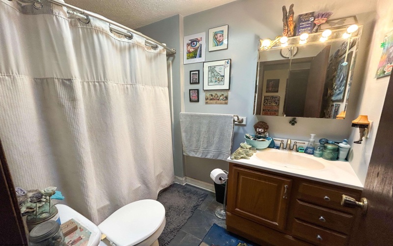 828 Alpine Street, Morgantown, West Virginia 26505, 3 Bedrooms Bedrooms, 10 Rooms Rooms,3 BathroomsBathrooms,Single Family Detached,For Sale,Alpine,10163595